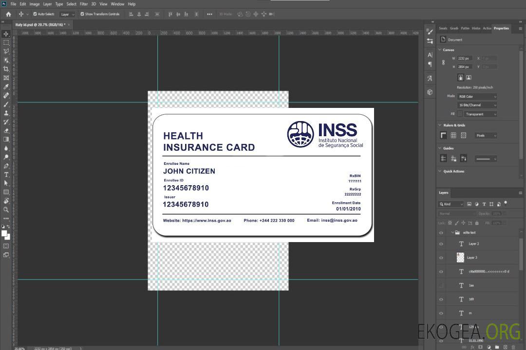 Carte d'assurance maladie INSS d'Angola template